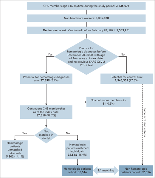 Flowchart diagram of the study.