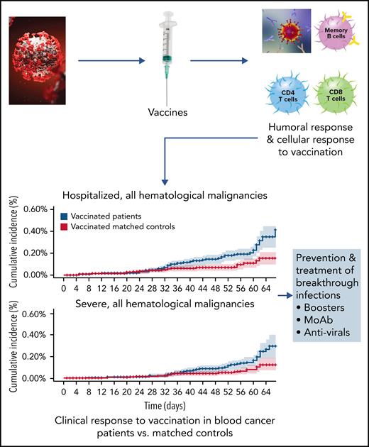 Progression of SARS-CoV-2 vaccination investigation in patients with hematologic malignancies compared with control-matched population. Moab, monoclonal antibody. The figure has been adapted from Figure 2 in the article by Mittelman et al that begins on page 1439.