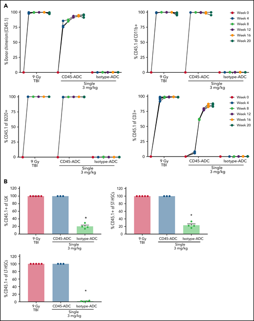 Single-agent CD45-ADC results in complete donor chimerism in a minor mismatch transplant model. DBA/2 (H-2d, CD45.2) recipients (n = 5 mice/group, 20- to 22-week-old females) were conditioned with 3 mg/kg isotype-ADC or CD45-ADC on d-3, or 900 cGy (9 Gy) TBI on d-1, and transplanted with 20 × 106 CByJ.SJL(B6)-Ptprca/J (H-2d, CD45.1) donor BM on d0. Two mice from the CD45-ADC group died 3 weeks posttransplant, and 1 mouse from the isotype-ADC group died at 14 weeks due to unknown causes. (A) Engraftment of donor cells (CD45.1+): overall chimerism and chimerism in lineage subsets in the PB of transplanted mice were assessed by flow cytometry. Each individual line represents a single mouse tracked over 20 weeks posttransplant as indicated. (B) Donor (CD45.1+)-derived hematopoietic progenitor cells (LSKs) and HSCs in BM were analyzed at 20 weeks posttransplant by flow cytometry. Data represent mean ± SEM. (A,B) Experiments were performed twice, and data shown are from 1 representative experiment. (B) *P < .05 vs 9 Gy TBI-treated mice using 1-way ANOVA with posthoc Dunnett’s multiple comparisons test.