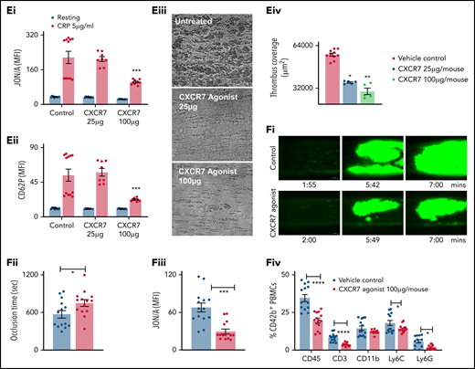 ACKR3/CXCR7 exerts antithrombotic effects. (A) Aggregation response to ADP (ADPTest, Roche) and TRAP-6 (TRAPTest, Roche) evaluated by impedance aggregometry in whole blood samples acquired in hirudinized tubes (Sarstedt) from CAD (n = 230; ACS, n = 142; CCS, n = 88) patients. P values using Mann-Whitney U test (line in box plots denote median). Flow cytometric detection of ACKR3/CXCR7 (mouse anti-human/mouse ACKR3/CXCR7-PE) internalization from the platelet surface following CXCR7 agonist treatment in a (Bi) time and (Bii) dose-dependent manner, gating for platelet-specific marker CD42b (anti-human CD42b-FITC) in whole blood. Data in the graphs are mean ± SEM from 4 healthy donors. T-TAS (Fujimori Kogyo Co Ltd, Shinjuku, Japan) data showing (Ci) thrombus coverage (AUC) and time to attainment of 10 kPa (T10) pressure over collagen (PL-chip) using 320 µL of hirudin anticoagulated blood and (Cii) thrombus coverage (AUC) and time to occlusion over collagen + tissue factor (AR-chip) using 450 µL of recalcified citrated human blood at arterial shear rates in presence/absence of CXCR7 agonist (100 µg/mL) or vehicle control incubated for 30 minutes at room temperature before perfusion. Data in the graphs are mean ± SEM from 5 experiments with healthy donors. *P < .05, **P < .01 using Mann-Whitney test. (Di) Surface expression of ACKR3/CXCR7 on platelets in n = 11 ACS patients as compared with healthy subjects (n = 11). Data in the graphs are mean ± SEM. **** P < .0001 using Mann-Whitney U test. Ex vivo whole blood functional assays performed with blood collected from ACS patients (n = 11) showing (Dii) surface expression of CD62P (anti-human CD62P-FITC) and PAC-1 (PAC-1–FITC) binding detected by flow cytometry gating for CD42b+-platelet (anti-human CD42b-PE) population; (Diii) aggregation response to ADP (ADPTest), TRAP-6(TRAPTest), and collagen(ColTest) in hirudinized blood; and (Div) thrombus formation over collagen coated (100 µg/mL) surface in parallel plate flow chamber assay in presence/absence of CXCR7 agonist (100 µg/mL)/vehicle control preincubated for 30 minutes at room temperature. *P < .05, **** P < .0001 using Mann-Whitney U test between 2 groups and ANOVA followed by Sidak’s multiple comparison test for >2 groups. Ex vivo analysis of murine platelet functions performed 1 hour after administration of CXCR7 agonist (100 µg/mL)/vehicle control (1% DMSO) showing (Ei) JON/A (JON/A-PE) response, (Eii) CD62P (anti-mouse CD62P-FITC) surface expression by whole blood flow cytometry gating for platelet-specific marker CD42b (anti-mouse CD42b-Dylight-649), and (Eiii-Eiv) thrombus coverage over collagen-coated surface (100 µg/mL) in ex vivo parallel plate flow chamber assay. Data in the graphs are mean ± SEM from 5 mice per group. CXCR7 agonist (100 µg per mouse) or vehicle control (1% DMSO) along with in vivo platelet-labeling antibody (GPIbβ-Dylight 488, 0.1 µg/gm by body weight) was administered IV 1 hour prior to surgical procedures to inflict carotid artery injury. Intravital microscopy (IVM) with NIS-Elements (Nikon) microscope was carried out using a 10x objective following carotid artery injury inflicted by application of a filter paper soaked in 15% FeCl3 for 1 minute. (Fi) Reduced thrombus formation (green fluorescence from platelets in circulation stained in vivo with GPIbβ-Dylight 488) and (Fii) time to vessel occlusion (*P = .034). Following IVM analysis, blood was collected to perform further ex vivo analysis of platelet functions. Flow cytometric detection of (Fiii) JON/A response, (Fiv) platelet (anti-mouse GPIbβ-Dylight 488) aggregate formation with leukocytes (anti-mouse CD45-APC), lymphocytes (anti-mouse CD3-APC), monocytes, and neutrophils (anti-mouse Ly6C-APC, anti-mouse Ly6G-PE, anti-mouse CD11b-APC) following carotid artery injury in CXCR7 agonist/vehicle control–administered mice. In panels Ei through Fiii, *P < .05, **P < .01, ***P < .001 using an unpaired Student t test with Welch’s correction; in panel Fiv, *P < .05, ****P < .0001 using Mann-Whitney U test for each surface marker. Data in the graphs are mean ± SEM from 14 mice per group. AUC, area under the curve; APC, apocyanin; DMSO, dimethyl sulfoxide; FITC, fluorescein isothiocyanate.