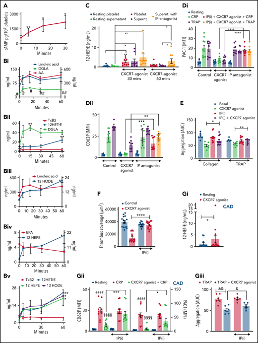 CXCR7 agonist–induced generation of antiplatelet lipid 12-HETrE and platelet inhibitory mediator cAMP. Washed platelets (200 × 106/sample) from n = 5 healthy donors were treated with CXCR7 agonist (100 µg/mL) for 0, 5, 15, and 30 minutes at room temperature. Thereafter platelet pellets were collected by centrifugation and used for detection of cAMP levels by LC-ESI-MS/MS analysis. (A) Gradual elevation in intraplatelet cAMP in response to CXCR7 agonist (100 µg/mL); *P < .05, **P < .01 vs 0 minute by Wilcoxon matched-pairs signed rank test, n = 5 donors. Washed human platelets (200 × 106/sample) from n = 5 healthy donors were treated with CXCR7 agonist (100 µg/mL) for 0, 5, 15, 30, and 60 minutes at room temperature. Intraplatelet levels of (Bi) linoleic acid (right y-axis), AA, and DGLA (left y-axis); (Bii) DGLA, 12-HETrE, and TxA(B)2; (Biii) linoleic acid (left y-axis) and 13-HODE (right y-axis); (Biv) EPA (left y-axis) and 12-HEPE (right y-axis); and (Bv) 12-HETrE, 12-HEPE, and 13-HODE as compared with TxA(B)2. #P < .05 and ##P < .01 vs AA; *P < .05, **P < .01 vs 0 minute using Welch’s t test. (C) Washed platelets (300 × 106/sample) from n = 9 healthy donors were treated with CXCR7 agonist (100 µg/mL) or vehicle control (1% DMSO) for 30 and 60 minutes at room temperature. IP receptor antagonist (RO-1138452 10 µM) was given as a pretreatment before CXCR7 agonist for 15 minutes at room temperature. At the end of incubation period, the supernatants were separated from the platelet pellets by centrifugation, and both were used for lipid extraction and subsequent targeted lipidomics analysis for 12-HETrE. Data are mean ± SEM. The significance levels for the corrected (FDR) P values are given using nonparametric paired Wilcoxon signed rank test with statistical significance *P < .05, **P < .01. Experiments done with blood from healthy donors (n = 5) showing inhibitory effect of CXCR7 agonist (100 µg/mL) on CRP (5 µg/mL) and TRAP (25 µM)-induced platelet (Di) PAC-1 binding, (Dii) CD62P surface expression (flow cytometry), (E) collagen and TRAP-induced aggregation (whole blood impedance aggregometry), and (F) thrombus formation was counteracted by IP receptor antagonist (RO-1138452 10 µM) given as a pretreatment before CXCR7 agonist for 15 minutes at room temperature. Data are mean ± SEM from 5 experiments with healthy donors. *P < .05, **P < .01, ***P < .001, ****P < .0001 with ANOVA followed by Sidak’s multiple comparison test. (Gi) Washed platelets from CAD patients (Table 2; n = 12) were treated with vehicle control (1% DMSO) or CXCR7 agonist (100 μg/mL) for 30 minutes at room temperature and processed for targeted lipidomics analysis for 12-HETrE. CXCR7 agonist treatment to CAD patient platelets ex vivo significantly increased 12-HETrE levels. Data are mean ± SEM. The significance levels for the FDR corrected P values are given using nonparametric paired Wilcoxon signed rank test with statistical significance *P < .05. (Gii-Giii) Inhibitory effect of CXCR7 agonist (100 µg/mL) observed in CAD patients on (Gii) platelet CD62P surface expression, PAC-1 binding (n = 5), and (Giii) TRAP induced aggregation (n = 6) was counteracted in presence of IP receptor antagonist (RO-1138452 10 µM) given as a pretreatment before CXCR7 agonist for 15 minutes at room temperature. In panels Gii through Giii, data are mean ± SEM; ####P < .0001 vs resting; §§§§P < .0001 vs CRP, *P < .02, ***P < .001; &&P < .002, &P < .02 with ANOVA followed by Sidak’s multiple comparison test. DMSO, dimethyl sulfoxide; Supernt., supernatant.