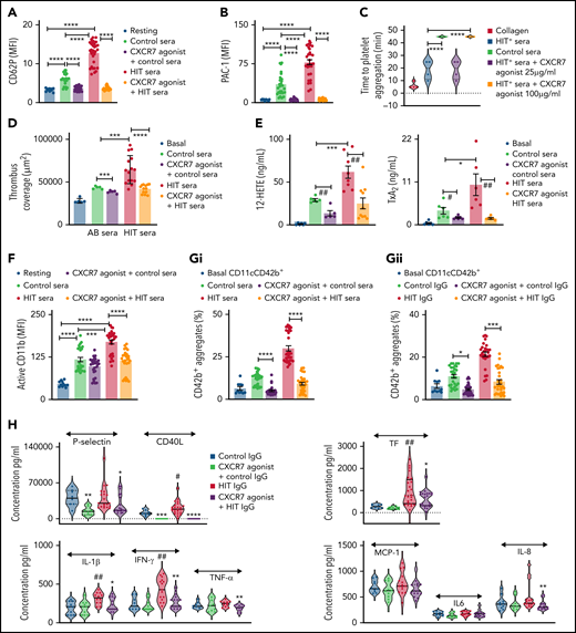 CXCR7 agonist counteracts thrombotic and thromboinflammatory response elicited by HIT sera/IgG. Whole blood assays with heparinized (0.2 IU/mL) blood from healthy donors (n = 5) was carried out in presence of control sera (n = 3) and HIT+ patient sera (n = 3) incubated at 1:10 vol/vol dilution for 1 hour at room temperature. CXCR7 agonist (100 µg/mL) or vehicle control (1% DMSO) was given as a pretreatment for 30 minutes at room temperature. HIT+ patient sera induced (A) platelet CD62P surface expression and (B) PAC-1 binding denoting αIIbβ3-integrin activation ex vivo. (C) HIPA assay performed with isolated washed platelets from 3 healthy donors in presence/absence of CXCR7 agonist (25 and 100 µg/mL) or vehicle control shows an inhibitory effect of CXCR7 agonist. (D) Ex vivo thrombus formation was performed in heparinized (0.2 IU/mL) blood from healthy donors (n = 5) over collagen-coated surface in presence of control sera (n = 3) and HIT+ patient sera (n = 3) in presence/absence of CXCR7 agonist (100 µg/mL) or vehicle control. In panels A through D, *P < .05, ***P < .001, ****P < .0001 using ANOVA followed by Sidak’s multiple comparison test. (E) Targeted lipidomics analysis for oxylipins showed that ex vivo treatment with control sera (n = 3), HIT+ patient sera (n = 3), HIT+ patient sera (n = 3) for 1 hour at room temperature induced generation of COX-1–derived TxA2 and platelet 12-LOX–derived 12-HETE, which was significantly counteracted in the presence of CXCR7 agonist (100 µg/mL) given as a pretreatment of 30 minutes at room temperature. *P < .05, #P < .05, ##P < .01, ***P < .001 with Wilcoxon signed rank test. (F) Neutrophil CD11b (anti-human active CD11b-FITC) activation ex vivo in heparinized (0.2 IU/mL) blood from healthy donors (n = 5) in response to control sera (n = 3) or sera from HIT+ patients (n = 3) (at 1:10 vol/vol dilution) in presence/absence of CXCR7 agonist (100 µg/mL) or vehicle control. Diagram showing formation of CD42b+ (anti-human CD42b-FITC)-CD11c+ (anti-human CD11c-APC) platelet-neutrophil aggregates ex vivo in heparinized (0.2 IU/mL) blood from healthy donors (n = 5 donors) treated with (Gi) sera or (Gii) corresponding isolated IgG fractions from control healthy subjects and HIT+ patients (n = 3 each) at 1:10 vol/vol dilution for 1 hour at room temperature in presence/absence of CXCR7 agonist (100 µg/mL). In panels F through G, *P < .05, ***P < .001, ****P < .0001 using ANOVA followed by Sidak’s multiple comparison test. Washed human platelets (200 × 106/sample) from n = 5 donors were pretreated with CXCR7 agonist (100 µg/mL) or vehicle control for 30 minutes at room temperature and then with IgG fractions from control or HIT+ patient sera (n = 3 each) at 1:10 vol/vol for 1 hour at room temperature. Activated platelet supernatants were collected and analyzed by cytometric bead array (Legendplex 13-plex human inflammation panel, 10-plex human thrombosis panel). (H) Violin plots (solid line denotes median) showing levels of proinflammatory mediators and chemoattractants in platelet releasate. Data represent mean ± SEM; #P < .05, ##P < .01 vs control IgG; *P < .05, **P < .01, ***P < .001, ****P < .0001 vs HIT+ IgG using Mann-Whitney U test for each inflammatory mediator.