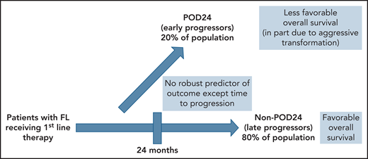 Patients with FL fall into 2 major groups with respect to outcome. The subset of patients (approximately 80%) who progress at least 24 months after initial therapy (non-POD24) have a favorable outcome and near-normal life expectancy. The 20% of patients who progress within 24 months (POD24) have an unfavorable prognosis, in part because of the presence of histologic transformation at relapse. Presently, there is no reliable way to identify these 2 groups at diagnosis or target specific therapies to one group or the other.