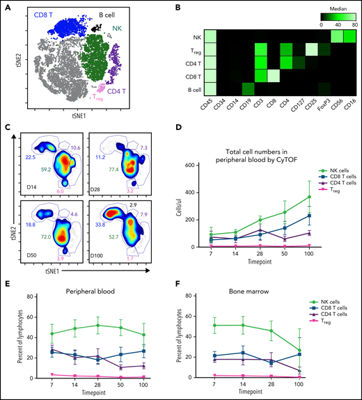 NK cells expand in patients treated with DLI and ML NK cell infusion. Peripheral blood and bone marrow samples from patients were analyzed by CyTOF. (A) Representative viSNE demonstrating FlowSOM-gated lymphocyte populations (CD34−CD45+CD14−). (B) Heat map of each marker used to annotate FlowSOM-gated lymphocytes in panel A (C) Density map of lymphocytes at the indicated time points from a representative patient’s peripheral blood mononuclear cells. Inset numbers depict the percentage of each population within the indicated cluster. (D) Total number of cells of each lymphocyte population quantitated by CyTOF across the indicated time points in the peripheral blood of patients. (E-F) Percentage of each lymphocyte population quantitated by CyTOF in the peripheral blood (E) and bone marrow (F). CyTOF data were available for patients P-ML002, P-ML003, P-ML005, P-ML007, P-ML008, P-ML009, and P-ML011. (D-F) Data are expressed as the mean ± standard error. CyTOF, cytometry by time of flight; viSNE, visual stochastic neighbor embedding.