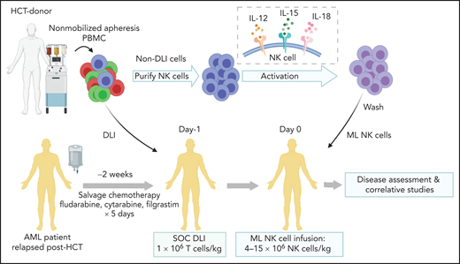 Overview of treatment schema. See Figure 1 in the article by Bednarski et al that begins on page 1670. PBMC, peripheral blood mononuclear cells; NK, natural killer; DLI, donor lymphocyte infusion; SOC, standard of care.