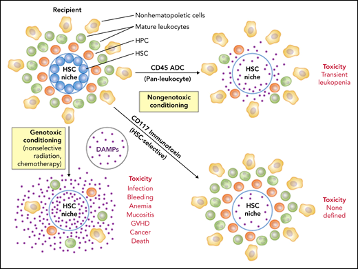 Conditioning approaches in bone marrow transplantation. The cell target area and mechanism of cytotoxicity are major determinants of safety. Toxicity is a function of cell loss per se, the release of DAMPs from dying cells, and the introduction of mutations in cells that survive. DAMPs can drive unregulated immune responses and facilitate graft-versus-host disease (GVHD). Antigen-targeted mAbs that deliver cytotoxic but nongenotoxic payloads to specific cell types important for engraftment of donor cells after transplantation mitigate key safety concerns and have great potential for replacing X-irradiation and chemotherapeutic agents for bone marrow conditioning. Additional therapeutic antibody strategies, for example, targeting CD47 to enhance phagocytosis of HSCs, have also been described. HPC, hematopoietic progenitor cell. Professional illustration by Patrick Lane, ScEYEnce Studios.