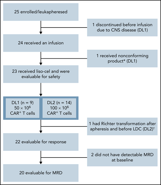Patient flow diagram. *Liso-cel is composed of an equal target dose of CD8+ and CD4+ CAR+ T cells. While CAR+ T cells could be manufactured for all patients, 1 patient received nonconforming product. †This patient was discovered to have Richter transformation after leukapheresis and prior to receiving liso-cel and was included in the safety population but not the efficacy population, as Richter transformation was an exclusion criterion.