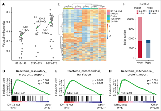 Novel subtype with IDH1/2 mutations. (A) Variant allele frequencies of IDH1/2 and other somatic mutations detected using whole-exome sequencing in 3 representative cases with IDH1/2 mutations. Variants in regions with abnormal copy number or with sequence depth <50 were excluded. IDH1 R132C and IDH2 R140Q mutations are shown in green. (B-D) Significantly enriched gene signatures for IDH1/2-mut ALL (n = 6) from GSEA of RNA sequencing data from 327 cases (323 Ph– B-ALL plus 4 Ph+ ALL) using Reactome gene sets. (E) DNA methylation clusters in 16 cases of B-ALL (supplemental Table 1), including cases of the IDH1/2-mut (n = 3), KMT2A (n = 3), Ph-like (n = 3), TCF3-PBX1 (n = 3), and ZNF384 (n = 4) subtypes with consensus unsupervised clustering with top 0.1% most variable methylation probes (n = 866) using Ward’s method. Information regarding disease subtypes is shown at the top of the panel. A case with IGH-CRLF2 (B213-069), which was not included in RNA-seq analysis, was assigned to the Ph-like group. (F) Differentially methylated regions in 3 IDH1/2-mut ALL cases compared with 13 other B-ALL cases. Statistically significant (q < 0.1) hyper (red) and hypo (blue) methylated probes, and the level of methylation are expressed by β value.
