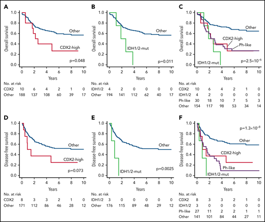 Clinical outcomes of novel subtypes in ALL202-U and ALL202-O studies. (A) Kaplan-Meier survival curves for OS; (A-C) and DFS; (D-F) for cases with and without CDX2-mut subtype (A,D), cases with and without IDH1/2-mut subtype (B,E), and cases with or without indicated subtypes (C,F). The prognostic impact on OS or DFS was evaluated using the log-rank test. Patients undergoing stem-cell transplantation (SCT) were not censored at the time of transplantation and were evaluated with inclusion of the posttransplantation period. CDX2, CDX2-high subtype; IDH1/2, IDH1/2-mut subtype.