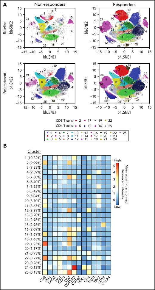 Subpopulations identified via viSNE analysis of 14 surface markers in all 56 samples. (A) viSNE map for nonresponders and responders color-coded according to PhenoGraph cluster annotation. viSNE maps were separated to baseline and posttreatment in both nonresponders and responders groups. (B) Heatmap of mean surface marker expression in each cluster. Percentage in parentheses denotes the size of each cluster.