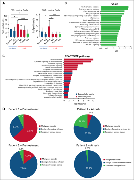 Activation of the immune responses in patients with MARs. (A) Flow cytometry percentages of PD1+ and TIGIT+ reactive CD4 T cells of the peripheral blood at baseline/rash/3 months (M3) in patients with and without rash. (B) Gene set enrichment analysis (GSEA) of differentially expressed genes in lesional skin of MARs compared with baseline. (C) Reactome pathway analysis of differentially expressed genes in lesional skin of MARs compared with baseline. (D) High-throughput sequencing data in skin of 2 representative patients at baseline and at the time of skin rash. The results show the recruitment of new benign T-cell clones in skin at the time of rash (all 14 patients were analyzed). *P < .05, **P < .01, ***P < .001, ****P < .0001. HD, healthy donor; IL-6, interleukin 6; mTORC1, mammalian target of rapamycin complex 1; NES, normalized enrichment score; TNFA, tumor necrosis factor alpha.