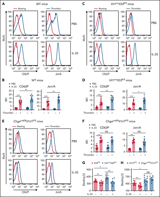 IL-33 rapidly enhances platelet function for hemostasis. (A-F) Indicated mice were injected with PBS or IL-33. Platelet activities were assessed by flow cytometry 10 minutes after injection. Representative histograms of fluorescence intensity and quantification of geometric mean fluorescence intensity of CD62P and Jon/A for platelets treated with or without thrombin from WT (A-B), Vil1creIl33fl/fl (C-D), and ChgacreERIl1rl1fl/fl (E-F) mice. (G-H) Il33fl/fl and Vil1creIl33fl/fl (G) Il1rl1fl/fl and ChgacreERIl1rl1fl/fl (H) mice were injected with PBS or IL-33. Time to cessation of bleeding in response to tail injury was assessed 10 minutes after injection. (I) Representative histograms of fluorescence intensity of CD62P and Jon/A for platelets treated with or without thrombin between Tph1fl/fl and Vil1creTph1fl/fl mice. (J) Quantification of geometric mean fluorescence intensity in panel I. (K) Tph1fl/fl and Vil1creTph1fl/fl mice were injected with PBS or IL-33. Time to cessation of bleeding in response to tail injury was assessed 10 minutes after injection. Data are representative of 2 independent experiments (A,C,E,I) or are pooled from 2 independent experiments (B,D, F-H, J-K). *P < .05, **P < .01, ***P < .001 by Student t test. Error bars represent standard deviation. NS, not statistically significant.