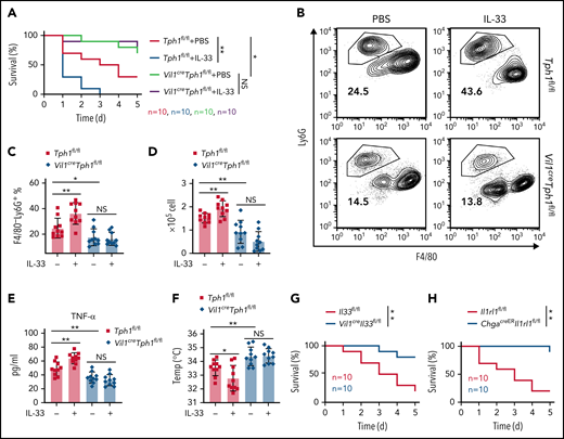 IL-33 reduces survival of LPS endotoxic shock via peripheral 5-HT. (A-F) Intraperitoneal injection of E coli serotype 055:B5 LPS into Tph1fl/fl and Vil1creTph1fl/fl mice with or without IL-33 treatment. (A) Survival rate after LPS injection. (B) Flow cytometric analysis of lymphocytes isolated from peritoneum 4 hours after LPS injection. (C) Quantification of percentile of gated F4/80−Ly6G+ neutrophils in panel B. (D) Quantification of F4/80−Ly6G+ neutrophils isolated from peritoneum 4 hours after LPS injection. (E) Tumor necrosis factor-α (TNF-α) levels in the serum at 24 hours after LPS injection. (F) Body temperature was measured at 4 hours after LPS injection. (G-H) Intraperitoneal injection of E coli serotype 055:B5 LPS into Il33fl/fl and Vil1creIl33fl/fl mice (G) or Il1rl1fl/fl and ChgacreERIl1rl1fl/fl mice (H). Survival rate after LPS injection was monitored. Data are representative of 2 independent experiments (B) or are pooled from 2 independent experiments (A, C-H). *P < .05, **P < .01, ***P < .001 by Student t test. Error bars represent standard deviation. IFN-γ, interferon-γ; NS, not statistically significant.