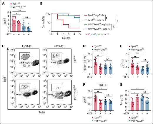 Neutralization of IL-33 reduces peripheral 5-HT and protects mice from LPS endotoxic shock. (A) Control IgG-Fc– or sST2-Fc–expressing plasmid was IV injected into Tph1fl/fl and Vil1creTph1fl/fl mice. Relative 5-HT amounts in serum were assessed by ELISA. (B-G) IP injection of E coli serotype 055:B5 LPS into Tph1fl/fl and Vil1creTph1fl/fl mice with 1-day pretreatment of IgG-Fc– or sST2-Fc–expressing plasmid. (B) Survival rate after LPS injection. (C) Flow cytometric analysis of lymphocytes isolated from peritoneum. (D) Quantification of frequency of gated F4/80−Ly6G+ neutrophils in panel C. (E) Quantification of F4/80−Ly6G+ neutrophils isolated from peritoneum 4 hours after LPS injection. (F) Tumor necrosis factor-α (TNF-α) levels in the serum at 24 hours after LPS injection. (G) Body temperature was measured at 0 and 4 hours after LPS injection. Data are representative of 2 independent experiments (C) or are pooled from 2 independent experiments (A-B, D-G). *P < .05, **P < .01, ***P < .001 by Student t test. Error bars represent standard deviation. NS, not statistically significant.