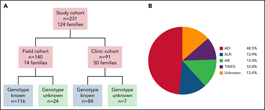 Overview of study cohort and distribution of inheritance pattern subgroups. (A) Cohort overview. Field cohort: participants completed questionnaires and the study team reviewed their medical records. 32 field cohort participants were also members of clinic cohort families. Clinic cohort: participants evaluated by specialists at the National Institutes of Health Warren G. Magnuson Clinical Center. (B) Schematic depiction of the distribution of inheritance pattern in the 231 study subjects. AD, autosomal dominant inheritance; AR, autosomal recessive inheritance; XLR, X-linked recessive inheritance; TINF2, TINF2 heterozygotes.