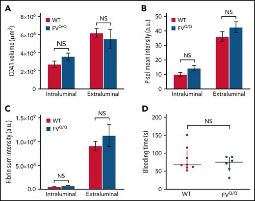 No effect of FV Leiden mutation on hemostatic plug formation after jugular vein puncture injury in mice. (A-C) Graphs show platelet accumulation (A), P-selectin expression (B), and fibrin accumulation (C) on the intra- and extravascular sides of the mouse jugular vein after puncture injury. Red columns are WT and blue FVQ/Q. Values are mean ± standard error of the mean. Statistics were performed using a 2-way analysis of variance with Bonferroni post hoc test for multiple comparisons; n = 8 WT and 6 FVQ/Q mice. (D) Bleeding time after jugular vein puncture injury in WT and FVQ/Q mice. Horizontal line is median and error bars interquartile range. Statistics were performed using the Mann-Whitney test. a.u., arbitrary unit; NS, not significant.