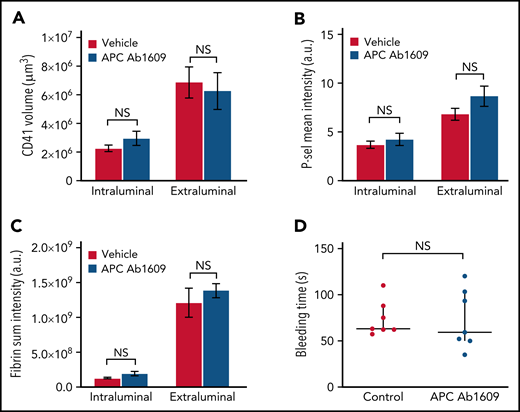 Inhibition of APC does not affect hemostatic plug formation after jugular vein puncture injury in mice. (A-C) Graphs show platelet accumulation (A), P-selectin expression (B), and fibrin accumulation (C) on the intra- and extravascular sides of the mouse jugular vein after puncture injury. Red columns are vehicle treated and blue Ab1609 treated. Values are mean ± standard error of the mean. Statistics were performed using a 2-way analysis of variance with Bonferroni post hoc test for multiple comparisons; n = 7 vehicle- and 7 Ab1609-treated mice. (D) Bleeding time after jugular vein puncture injury in vehicle- and Ab1609-treated mice. Horizontal line is median and error bars interquartile range. Statistics were performed using the Mann-Whitney test. a.u., arbitrary unit; NS, not significant.