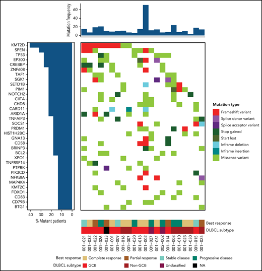 Recurrently mutated genes in DLBCL are associated with treatment response to BV plus Len. Genomic landscape of trial patients. Genes were mutated in 3 or more patients (34 of 92 mutated genes for 22 of 37 patients) among the 150 recurrently mutated putative driver genes previously identified.