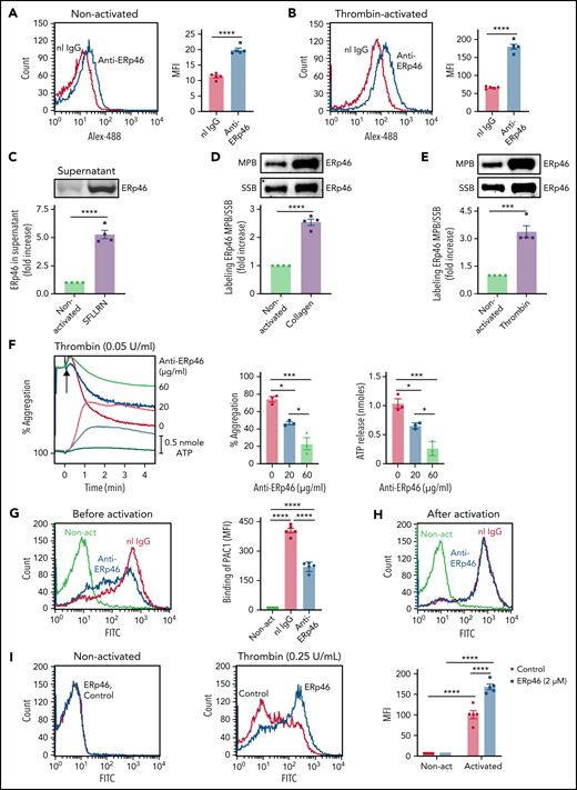 Functional role of ERp46 in human platelets. Expression of ERp46 on the surface of nonactivated platelets (A) and thrombin (1 U/mL)-activated platelets (B). Mean fluorescent intensity (MFI) ± standard error of the mean (SEM), n = 5, ****P < .0001, Student t test. Normal rabbit IgG (nI IgG, 30 μg/mL, red) and anti-ERp46 antibody (30 μg/mL, blue) were both labeled with Alexa-488. (C) SFLLRN (100 μM)-induced platelet activation/aggregation releases ERp46 into the supernatant. Shown is the fold increase of ERp46 protein in the supernatant with platelet activation. ERp46 was immunoprecipitated from the supernatant and analyzed by immunoblotting. (D-E) Platelet activation increases thiol labeling in surface ERp46. After activation by collagen (10 μg/mL) (D) or thrombin (1 U/mL) (E), platelets were labeled with MPB or SSB as described in “Methods.” After immunoblotting with the anti-ERp46 antibody, the band intensities were used to calculate the ratio of MPB/SSB in ERp46 on the surface of activated platelets relative to ERp46 on the surface of nonactivated platelets. (F) The polyclonal anti-ERp46 antibody inhibits platelet aggregation and ATP release. Representative aggregation and ATP release tracings (left) and combined results (right) showing inhibition by the anti-ERp46 antibody of human platelets activated with thrombin (0.05 U/mL); mean ± SEM, n = 3, *P < .05, ***P < .001, analysis of variance (ANOVA). Washed human platelets were preincubated with normal rabbit IgG and polyclonal anti-ERp46 antibody at the indicated concentration. Aggregation and ATP secretion were monitored in the lumi-aggregometer. (G-I) Anti-ERp46 antibody inhibits αIIbβ3 activation measured by PAC1 binding in platelets when added before (G) but not after (H) thrombin (0.025 U/mL) activation. MFI ± SEM, n = 5, ****P < .0001, ANOVA. In these experiments, the anti-ERp46 antibody (30 μg/mL) was incubated with the human platelets for 10 minutes before activation (G) or after activation (H). The red and blue histograms represent thrombin-activated platelets. (I) Addition of ERp46 (2 μM) (blue) potentiates thrombin (0.25 U/mL) activation of αIIbβ3 measured by PAC1 binding on platelets but does not itself induce αIIbβ3 activation. PBS control (red). Left panels, representative histograms; right panels, bar graph of combined results; mean ± SEM, n = 5, ****P < .0001, ANOVA. Non-act, nonactivated platelets.