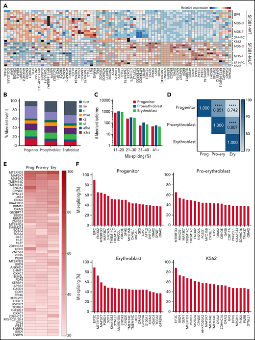 Mutant SF3B1 missplicing during iPSC erythroid differentiation. (A) Relative expression of the indicated differentially spliced isoforms in SF3B1-WT and SF3B1-mutant cells. Plot restricted to competing 3′ splice sites, cassette exons, and retained introns. Normal samples include: bone marrow HPCs (BM), MDS without SF3B1 mutations (WT), K562 cells, and normal isogenic iPSC-derived 5F-HPCs. SF3B1-mutant samples include: SF3B1-mutant MDS, K562 SF3B1K700E/+ cells, and SF3B1G742D/+ iPSC-derived 5F-HPCs. Events were restricted to ≥20% missplicing, Bayes factor ≥5, and a minimum counts cutoff ≥20. MDS-D refers to SF3B1K700E/+ patient data from Dolatshad et al4 and MDS-T refers to SF3B1K700E/+ patient data from Taylor et al.25 (B) The proportion of misspliced isoforms in 5F-HPCs: progenitor CD34+, proerythroblast CD71+GlyA−, and erythroblast CD71+GlyA+. Splicing events classified as arising from tandem 3′ UTRs (tutr), cassette or skipped exons (se), retained introns (ri), mutually exclusive exons (mxe), alternative usage of normally constitutively spliced junctions (cj), alternative retention of normally constitutively spliced introns (ci), alternative 5′ss (a5ss), and alternative 3′ss (a3ss). (C) The number of misspliced isoforms grouped by absolute value of missplicing at the 3 stages of erythroid differentiation of 5F-HPCs: progenitor CD34+, proerythroblast CD71+GlyA−, and erythroblast CD71+GlyA+. (D) Pearson correlation matrix of the level of missplicing between the 3 stages of erythroid differentiation of SF3B1G742D/+ 5F-HPCs. ****P < .0001. (E) The level of missplicing of individual gene isoforms during erythroid differentiation of SF3B1G742D/+ 5F-HPCs; included isoforms were detected at all the stages of differentiation. (F) Top 20 misspliced a3ss isoforms in SF3B1-mutant 5F-HPCs and 3 stages of erythroid cells: CD71+ proerythroblasts, CD71+GlyA+ erythroblasts, and K562s. Unless otherwise stated, for all panels, differential missplicing between SF3B1-mutant and WT cells is defined based on the absolute value of missplicing ≥20%, Bayes factor >5, and supported by >5 transcript counts. Prog, progenitor; Pro-ery, proerythroblast; Ery, erythroblast.
