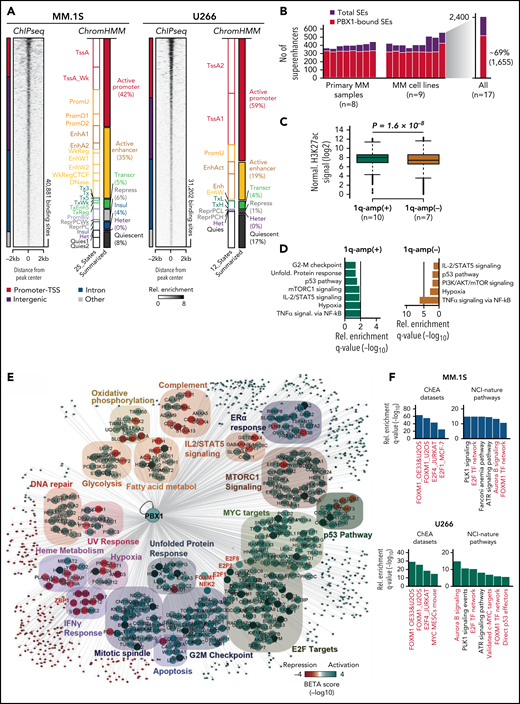 Genome-wide analysis of PBX1 function in chr1q-amp myeloma cells. (A) Heat map representation of PBX1 cistrome in MM.1S and U266 cells, as identified by ChIP-seq analysis (n = 2 per cell line). Genomic annotation (left) and epigenomic chromHMM states (right) of significantly enriched regions are also shown. (B) SE analysis across 9 MM cell lines and 8 MM primary samples using H3K27ac-seq (data obtained from Jin201834). Number of total and PBX1-bound SEs across 17 MM samples (left panel) and the aggregated profile in all samples (right panel) are shown. (C) Boxplot representations of average normalized H3K27ac signal of chr1q-amp and nonamplified samples across 1655 PBX1-bound SEs. Analysis was performed using a paired Student t test. (D) Pathway analysis of genes predicted to be regulated by PBX1-bound SEs in chr1q-amp (+) and nonamplified (-) cells. (E) Integrative cistrome-transcriptome analysis with BETA-plus displays the regulatory program of PBX1 in MM.1S cells. Biological annotation of genes was performed using the Molecular Signatures Database. Node colors represent average predicted activation (blue) or repression (red) for each gene. Transcriptional targets of interest are highlighted in red font. (F) Overrepresentation analysis against the ChEA database and NCI-Nature pathways of the direct PBX1 target genes in MM.1S (upper panels) and U266 (lower panels) cells. Terms of interest are highlighted in red font. metabol, metabolism; Rel., relative.