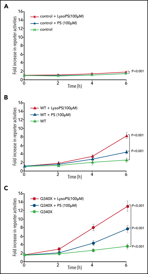 Autocrine activation of GPR34. Isogenic Flp-InTRex293 cell lines that stably express a single copy of GPR34 or its truncated variant, together with the parental cell lines (control), were transfected with AP1 firefly and Renilla reporter plasmids, cultured overnight, and then incubated with 16:0-18:1 PS or LysoPS for indicated times before measuring reporter activities. The data (mean ± standard deviation) presented are from 3 independent experiments. Statistical differences among different cell lines were analyzed by using a linear regression model, with significant differences indicated. WT, wild type.