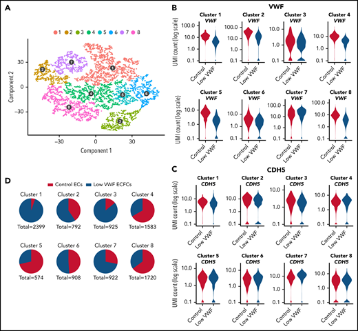 Cluster-based differential gene expression of VWF and CDH5. (A) TSNE plot demonstrates 8 primary clusters of endothelial cells as determined by their overall transcriptional pattern, regardless of initial control EC vs low VWF ECFC phenotype. (B-C) Each cluster identified in panel A is then analyzed for VWF expression and CDH5 expression as shown in panels B and C, respectively, with the top row of each gene in panels B and C corresponding to clusters 1 to 4, and the bottom row corresponding to rows 5 to 8. (D) Finally, the relative distribution (% of total) of control ECs vs low VWF ECFCs are shown for each individual cluster.