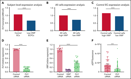 FLI1 is a candidate regulator for VWF based on differential expression and siRNA knockdown. (A-C) scRNA-seq data demonstrated decreases in FLI1 expression in 3 expression analyses, subject level-expression analysis (A), all cells-expression analysis (B), and control EC-expression analysis (C). (D) FLI1 shows decreased expression via quantitative polymerase chain reaction analysis in HUVECs after FLI1 siRNA knockdown (light green) compared with negative control siRNA knockdown (red). (E) VWF shows decreased expression via quantitative polymerase chain reaction analysis in HUVECs after FLI1 siRNA knockdown (light green) compared with negative control siRNA knockdown (red). VWF siRNA knockdown is shown in purple. (F) VWF promoter reporter assay expressing fluorescent eGFP in lentiviral-transduced HUVECs. After siRNA transfection with either negative control siRNA knockdown (red) or FLI1 siRNA knockdown (light green), there is decreased reporter activity in FLI1 siRNA compared with negative control siRNA. For all experiments, N > 3, and P values of significant relationships are shown as analyzed by Wilcoxon test or Kruskal-Wallis test with Dunn’s multiple comparison test. Error bars represent means ± standard error of the mean. Statistical significance is shown with asterisks compared with control siRNA (***P < .001, ****P < .0001).