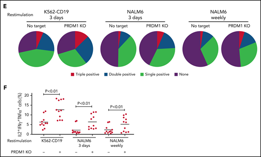 PRDM1-knockout CAR-T cells maintain polyfunctional cytokine production after repeated stimulation. (A-B) The expression of immunoinhibitory molecules was analyzed after the third restimulation. Representative flow cytometry plots of primary CD8+ T cells or CAR-T cells repeatedly stimulated by K562-CD19 (A) and mean fluorescence intensity of PD1, LAG3, and TIM3 in the CD8+ CAR-T cell population (B) (n = 6, paired 2-tailed Student t test). (C) Expression of TOX in repeatedly stimulated CAR-T cells with or without PRDM1 knockout was analyzed by immunoblotting. (D-F) Cytokine production after the third stimulation was analyzed by flow cytometry (IL2, IFNγ, and TNFα). Representative flow cytometry plots of CAR-T cells restimulated by K562-CD19 (D), pie charts of the percentages of CAR-T cells producing single, double, and triple cytokines (E), and the frequency of IL2+IFNγ+TNFα+ cells in the CD8+ CAR-T cell population are shown (F) (n = 11, paired 2-tailed Student t test). The data presented in B and F are derived from different donor samples. Horizontal lines indicate the mean values. NS, not significant.