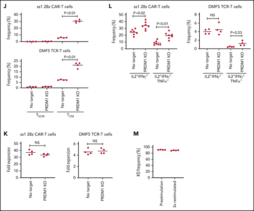 PRDM1 knockout augments maintenance of a memory phenotype and cytokine polyfunctionality in multiple types of antitumor T cells. (A) Immunoblotting analysis of Blimp-1 expression in control or PRDM1-knockout 28z CAR-T cells targeting GD2. Representative blots of 3 experiments. (B-C) Surface expression of PD1, TIM-3, and LAG3 in CD19 or GD2-targeting 28z or BBz CAR-T cells with or without PRDM1 knockout was analyzed on day 10. Representative flow cytometry plots (B) and mean fluorescence intensity of each molecule (C) (n = 4, one-way ANOVA with multiple comparisons test). Experiments were repeated twice. **P < .01 compared with the control FMC63-28z CAR-T cells. (D-E) The frequency of TSCM/TCM (D) and IL2+IFNγ+TNFα+ cells (E) was analyzed in the CD8+ CAR-T cell population on day 11 (n = 3-4, unpaired 2-tailed Student t test). Representative data of 2 independent experiments. (F-I) NSG mice infused with GD2-expressing NALM6-GL were treated with the 14g2aE101K CAR-T cells with or without PRDM1 knockout (n = 7 for each group). The frequency of human T cells in the PB was analyzed at the indicated time points (G) (unpaired 2-tailed Student t test). Tumor progression was monitored by in vivo bioluminescence imaging (H) (unpaired 2-tailed Student t test of the log-transformed values). Kaplan-Meier curve for the overall survival of mice (I) (n = 7, log-rank test). (J-L) T cells transduced with anti-mesothelin 28z CAR (clone ss1) or HLA-A2/MART127–35-specific TCR (clone DMF5) were ablated with PRDM1 and analyzed for memory markers (J) (n = 4, unpaired 2-tailed Student t test), fold expansion (K) (n = 4, unpaired 2-tailed Student t test), and cytokine production (L) (n = 7 for ss1 CAR-T cells and n = 4 for DMF5 TCR-T cells, unpaired 2-tailed Student t test) after 3 antigenic stimulations. (M) The frequency of PRDM1 knockout was evaluated in the ss1 CAR-T cells before and after stimulation (n = 4 samples). In C-E, G, H, and J-M, horizontal lines depict the mean values. NS, not significant.