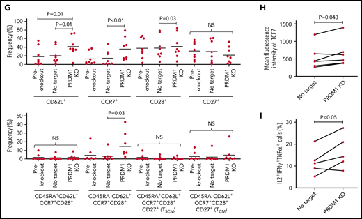 Terminally differentiated T cells partially acquire memory T-cell properties upon PRDM1 knockout. (A-B) CD19-targeting CAR-T cells were electroporated with Cas9/sgRNA against PRDM1 following repeated stimulation by NALM-6 and analyzed for memory T-cell markers. Representative flow cytometry plots (A) and the frequency of the indicated populations are shown (B) (n = 4, ordinary one-way ANOVA with multiple comparisons test). Representative data of 2 experiments. (C,D) Human T cells knocked out with PRDM1 after repeated stimulations were infused into irradiated NSG mice (n = 6 mice per group). The frequency of human T cells in the PB was monitored at the indicated time points (D) (n = 6, Mann-Whitney U test). (E-I) TIL dissociated from tumor samples were expanded and then ablated with PRDM1. Representative flow cytometry plots analyzing memory T-cell phenotypes (F) and the frequency of CD8+ T cells expressing the indicated molecules (G) (n = 8 samples, repeated measures of one-way ANOVA with multiple comparisons test). (H) The expression of TCF7 was analyzed by intracellular flow cytometry 5 days after electroporation. Mean fluorescence intensity within the CD8+ T-cell population was shown (n = 5, paired 2-tailed Student t test). (I) Expanded TILs were restimulated by K562 expressing anti-CD3 mAb and 41BBL, and the production of IL-2, IFN-γ, and TNF-α was analyzed by flow cytometry (n = 5, paired 2-tailed Student t test).