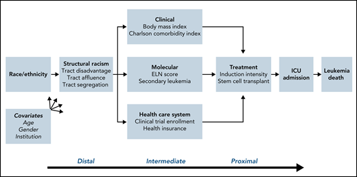 Mediating factors of death in AML. Causal diagram demonstrating the interplay of elements that impact leukemia death. These include the distal factor of structural racism, intermediate factors including clinical and molecular characteristics and health care access, and proximal factors of treatment patterns and complications. The impact of these in turn are adjusted by age, sex, and institution.