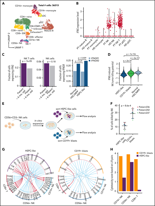 An immunosuppressive circuit between HSPC-like cells and cytotoxic lymphocytes in younger patients. (A) UMAP of scRNA-Seq data for normal immune cells in 18 KMT2A-r patients. Number of sequenced cells is indicated. (B) NK T cells are the major source of IFNG in patients. Shown are violin plots of IFNG expression in various immune cell populations in both KMT2A-r patients and healthy donors. HD, healthy donor; PT, patient. (C) Upregulated IFNG signaling in the HSPC-like population in younger patients. Left, barplot showing younger patients have a higher fraction of NK T cells expressing IFNG. Right, barplot showing IFGN receptor 2 gene (IFNGR2) was expressed higher in HPSC-like cells in the PB of younger infants with ALL compared with normal BM HSC/MPPs. (D) Activating and suppressive signaling pathways for NK cell cytotoxicity induced by IFNG signaling in blasts. Y-axis, potential for inducing NK cell cytotoxicity based on combined normalized expression of genes in activating and suppressive pathways in HSPC-like cells, CD19+ blasts, and normal HSC/MPPs. (E) Schematic overview of blast and NK cell coculture experiment. (F) Percentage of HSPC-like cells and CD19+ blasts killed by NK cells. Dots represent different patient samples. P values were computed using Student t-test. (G) Predicted L-R interactions between the leukemia cell containing HSPC-like population (left panel) or CD19+ blasts (right panel) and 2 major classes of cytotoxic lymphocytes, CD8+ T cells and NK cells. Red, blue, and gray arcs, suppressive, activating, and unknown interactions, respectively. (H) Cytotoxicity scores of NK and CD8+ T cells based on combined activating and suppressive signaling between the cytotoxic lymphocyte and the HSPC-like/blast populations via L-R pairs (see supplemental Methods for details). L-R pairs were based on those in panel E.