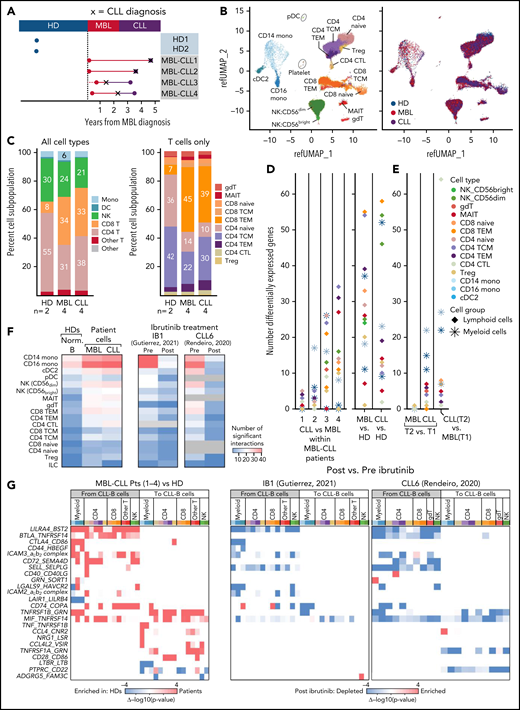 scRNA-seq analysis of immune cells from healthy donors and disease progression from MBL to CLL. (A) scRNA-seq was performed on PBMCs collected from 4 patients with MBL (red dots) that progressed to CLL (purple dots), and from 2 HDs (blue dots). X, the time of diagnosis of CLL. (B) UMAP visualization of all immune cells colored by immune cell types (left) and by sample types (right). (C) Proportion of immune cell types (left) and T-cell subtypes (right). (D) Number of significant differentially expressed genes for each cell type by performing a comparison of paired samples within patients (left) or comparison between MBL samples or CLL samples vs healthy donors (right). Cells were categorized based on lymphoid and myeloid cells. (E) Same analysis for significant differentially expressed genes was performed on 3 independent patients with nonprogressive MBL and 7 with CLL (Figure 1). (F) Heat maps with the number of the significant ligand-receptor interactions for each cell type under different conditions using CellPhoneDB v2.1.7. Heat map comparing the number of significant interactions between healthy donors and patient samples from either MBL stage or CLL stage (left). Heat maps including samples before and after ibrutinib for 2 additional patients (right).20,21 Gray boxes indicate an insufficient number of cells to perform interactome analysis. (G) Heat maps representing the difference of P values for each ligand-receptor pair regarding specific cell types (x-axis). Interactions that are enriched in patients (red) or enriched in healthy donors (blue) were calculated by subtracting −log10 (P value) in healthy donors from −log10 (P value) in patients (left). The same interactions that are either enriched (red) or depleted (blue) after ibrutinib (right)20,21 are calculated by subtracting −log10 (P value) in preibrutinib from −log10 (P value) in postibrutinib. Pts, patients; cell type abbreviations are the same as in Figure 1.