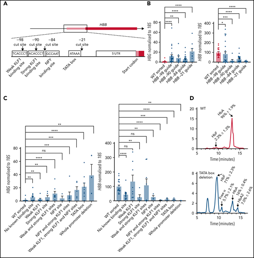 Disruption of known transcription factor binding sites or intervening sequence in the adult HBB promoter is sufficient to elevate fetal HBG expression. (A) CRISPR-Cas9 sgRNA cut sites (black arrows) and transcription factor binding sites (white boxes). (B) HBG and HBB mRNA levels in WT HUDEP-2 (n = 18) and cells cut with −21 (n = 9), −84 (n = 26), −90 (n = 7), and −98 (n = 27) guides that resulted in >1bp deletions. (C) HBG and HBB mRNA levels in WT HUDEP-2 (n = 18) and cells cut with the −21, −84, −90, and −98 guides: no known binding site (n = 15), weak KLF1 site (n = 8), strong KLF1 site (n = 5), 2 KLF1 sites (n = 8), NFY site (n = 3), NFY and strong KLF1 sites (n = 7), 2 KLF1 sites and NFY site (n = 5), TATA box (n = 9), and whole HBB promoter (n = 3). For panels B-C, values are relative to a mean WT level of 1 and 100 for HBG and HBB, respectively (mean plus or minus SEM). Significance determined by a Mann-Whitney U test (ns P > .05, *P < .05, **P < .01, ***P < .001, ****P < .0001). (D) Hemoglobin protein levels (as determined by HPLC) for WT HUDEP-2 (n = 3) and TATA box mutation (n = 3), with peaks for HbF, HbA and HbA2 indicated. A mean trace is shown with mean percent value plus or minus SEM for each peak.