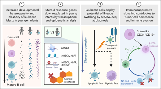 Using single-cell genomics to study KMT2A-r ALL in samples from infants and children, the authors focus on developmental state heterogeneity, steroid resistance, lineage switching, and immune evasion. Created with Biorender.com.