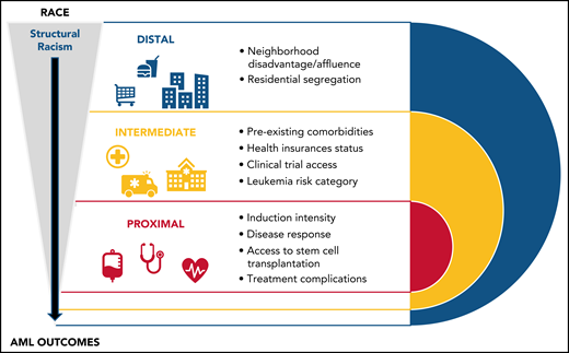 Potential mediators along the causal pathway between structural racism (blue) and AML survival include intermediate factors (yellow) that impact access to care and leukemia risk stratification and more proximal factors (red) such as treatment approaches and complications. Structural racism (as defined by Abraham et al) leverages the contrasts between membership in a neighborhood characterized by concentrated affluence (high income, college-educated, employed in professional/managerial occupations) or concentrated disadvantage (low income, requiring public assistance, high unemployment, and female-headed households) and majority-White or majority-Black census tracts. Illustration by Justine M. Kahn.