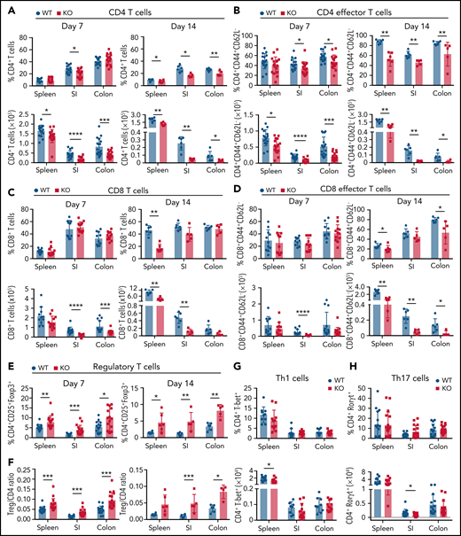 Recipients of GPR109A−/− T cells have fewer donor T cells post allo-HCT compared to WT. Lethally irradiated BALB/c recipients received B6 WT TCD BM and 0.5 × 106 WT or KO T cells. (A-B) Live, CD45+, CD3+, H-2kb+ donor CD4+ and CD8+ T cell percentages (top) and numbers (bottom) are shown from spleen, small intestine (SI) lamina propria and colon lamina propria on day 7 and day 14 post allo-HCT. (C-D) Live, CD45+, CD3+, H-2kb+ donor effector memory CD4+ and CD8+ T cell percentages and numbers were analyzed from indicated tissues. (E) Live, CD45+, CD3+, H-2kb+, CD4+ donor regulatory T cell percentages analyzed for the 3 tissues on day 7 and 14 and (F) ratio of Tregs to CD4+ T cells analyzed. (G) Percent and number of T-bet+ Th1 cells on day 7 post-BMT. (H) Percent and number of Rorgt+ Th17 cells on day 7 post allo-HCT. All comparisons in (A) to (H) were performed by two-tailed unpaired Mann-Whitney Test. Values are means ± standard deviation. *P < .05, **P < .01, ***P < .001, ****P < .0001, n = 5-15 mice per group. All results from two to three independent experiments.