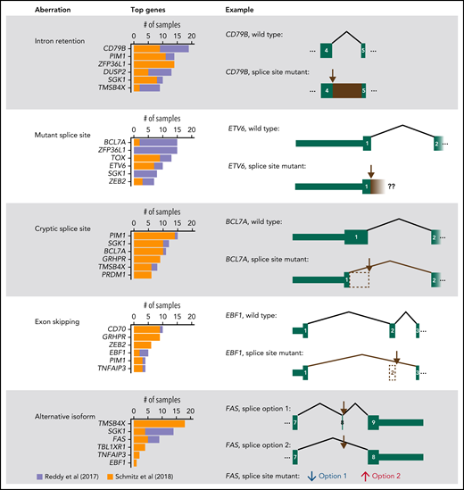 Summary of RNA aberrations identified in splice site mutant genes. For each type of aberration, the top 6 most affected genes are shown. In addition, 1 illustrative example is represented schematically. Brown arrows mark the most recurrently mutated splice site in the gene. Exon numbering was based on the following transcripts from Ensembl v28: ENST00000006750.7 (CD79B), ENST00000396373.8 (ETV6), ENST00000261822.4 (BCL7A), ENST00000313708.10 (EBF1), ENST00000355740.6 (FAS, splice option 1), and ENST00000355279.2 (FAS, splice option 2). In FAS, splice site mutant samples have decreased use of “splice option 1” and increased use of “splice option 2.” Our analysis estimates the differential use of each splice junction and not the expression of whole transcripts.