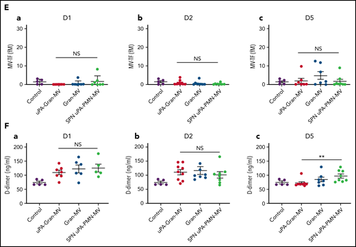 Impact of the MV injection on the mouse hemostatic balance. (A) Cecal ligation was performed on CD-1 mice on 3 kinetic, D1: 24 hours after sepsis induction; D2: 48 hours after sepsis induction; D5: 5 days after sepsis induction; n = 36 per group. Each group of animals received a daily IV tail injection of uPA-Gran-MVs (red), Gran-MVs (blue), or SPN uPA-Gran-MVs (green) from D1 (24 hours after surgery) and compared to a group of healthy mice (control) (purple). Once sepsis was established, the mice were observed daily to assess spontaneous mortality and monitored to measure their heart rate, oxygen saturation, breathing rate, and body temperature. In according to the kinetic, the animals were sacrificed at D1, D2, or D5. (B-F) Measure of fibrinolytic and procoagulant parameters at D1, D2, and D5: plasmin-anti-plasmin complex (PAP), MV dependent plasmin generation capacity (MV-PGC), thrombin-anti-thrombin complex (TAT), MV dependent tissue factor activity (MV-TF), and d-dimer, respectively. Data are mean ± SEM. *P < .05; **P < .01; NS: not significant.