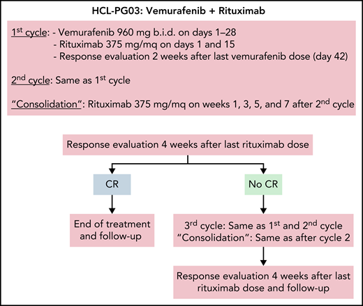 Treatment schema of the vemurafenib plus rituximab regimen. Schedule of vemurafenib plus rituximab used in the trial,35 where, however, in no patients a third cycle was delivered. The 2-week interval after vemurafenib dosing in each cycle was to allow enough time for adequate normal bone marrow (BM) recovery following clearance of the leukemic cell infiltration (especially after the first cycle) and, thus, for optimal reading of the BM biopsy scheduled after each cycle; however, outside a trial, interim BM biopsies are not typically needed, and the 2-week interval might be omitted from each cycle.