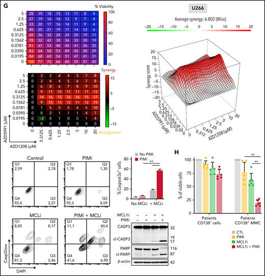 Reconsideration of PIM2 as an effective target in MM. (A) PIM2 gene expression in cell lines derived from various solid and blood cancers (https://depmap.org/portal/). (B) CRISPR screening data from the DepMap Project show that PIM2 presents the highest dependency score for the 20 tested MM cell lines, relative to other cell lines. (C) Immunohistofluorescence staining of PIM2 (green) and CD138 (orange) in paraffin-embedded BM from patients with MM. 4′,6-diamidino-2-phenylindole (blue) stains the nucleus. Scale bars: 20 µm (top); 50 µm (bottom). (D) Overall survival of patients from the CoMMpass cohort as a function of PIM2 expression (PIM-high group, n = 539; PIM-low group, n = 227). The expression cutoff was determined by applying the MaxStat package (cutoff = 313.02). (E) Effects of BH3 mimetics and PIMi on apoptosis. BH3 mimetics (eg, MCL1i, venetoclax) inhibit the binding of antiapoptotic molecules (MCL1 and BCL2, respectively) to the pro-apoptotic effectors BAK and BAX; this leads to mitochondrial depolarization and, ultimately, cell apoptosis. PIMi enhances the action of BAD: BAD binds to BCL2 and BCL-XL and therefore acts independently of MCL1i. The combination of these 2 compounds might result in greater activation of BAX and BAK and may increase the likelihood of cell death. (F-G) Left: The results of a cell viability assay and a synergy analysis after treatment with increasing concentrations of AZD1208 (PIMi) and AZD5991 (MCL1i) in XG7 cells (F) and U266 cells (G). Right: Flow cytometry assessment of apoptosis using 4′,6-diamidino-2-phenylindole (DAPI)/CaspGlow staining and immunoblotting for the detection of caspase 3 and PARP cleavage, after treatment of XG7 cells (panel F) and U266 cells (panel G) with selected doses of inhibitors. The bar plot shows the percentage of caspase 3–active positive cells. Data are presented as the mean ± SD, n = 5. (H) Flow cytometry assessment of viability for primary cells from 6 patients with MM. The bar plot shows the percentage of viable CD138+ MM cells and CD138– cells, relative to a control (set to 100%) after treatment with the selected doses of inhibitor. Statistical significance was evaluated by using the Mann-Whitney U test in panels F, G, and H. **P < .01. See also supplemental Figure 7.