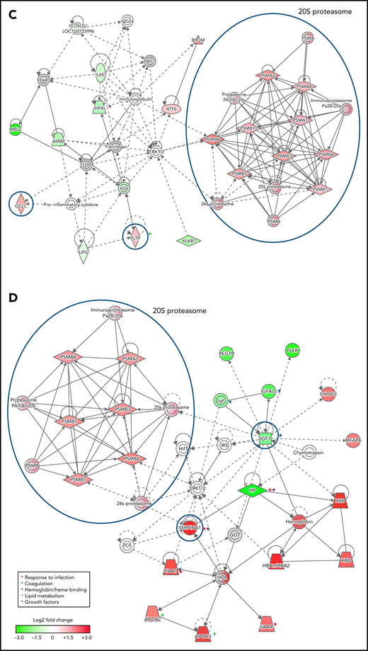 Networks of differentially expressed plasma proteins in children with reduced hemoglobin. Comparison of differentially expressed plasma proteins in children with hemoglobin drop (A,B) with SMA and (C,D) without SMA to control malaria-infected children by Ingenuity Pathway Analysis. Analyses in panels A and C included differentially expressed proteins defined as log2 fold change <−0.3 or >0.3, P < .05, and analyses displayed in panels B and D included differentially expressed proteins defined as log2 fold change ≤-1.0 or ≥1.0. Green and red symbols represent proteins that were down- and upregulated, and gray symbols represent similarly expressed proteins identified in the study. Solid and broken lines represent direct and indirect interactions respectively. Proteins selected for validation study are marked with blue circles.