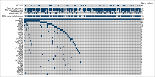 Overview of cytogenetic aberrations and concurrent mutations in mutant TP53 AML/MDS-EB (n = 230). Each column represents an individual patient, and the presence of the aberration is indicated in blue. The upper panel shows the cytogenetic aberrations, and the lower panel shows the concurrent mutations. Patients with MDS-EB or bi-allelic TP53 mutant status are also indicated in blue. In case of failed cytogenetics, the cytogenetic aberrations were considered negative.