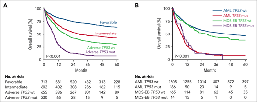 Overall survival of patients with AML and MDS-EB (n = 2200). (A) Overall survival of AML/MDS-EB patients by the ELN 2017 risk classification. Patients in the adverse risk category are segregated by TP53 wild-type and TP53 mutant. (B) Overall survival of AML and MDS-EB disease classification at diagnosis stratified according to patients with TP53 wild-type and TP53 mutant.