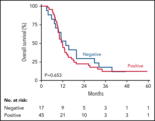 Overall survival of patients with AML/MDS-EB by TP53 mutations detected in CR (n = 62).