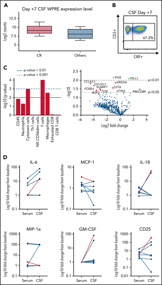 CSF and cytokine analysis of pre/post infusion samples. (A) Detection of tisagenlecleucel by RNA (Nanostring) demonstrating higher levels of the WPRE element in patients who achieved a CR. (B) Detection of tisagenlecleucel in the CSF of patient 008 (21 CAR+ cells/μL CSF) on day +7 by flow cytometry. (C) Pathway analysis and differential gene expression of patients who achieved a CR as best response vs others. Increase over non-CRs shown. (D) Representative serum and CSF cytokine analysis showing fold change from preinfusion baseline vs day +7. Grade 3 ICANS event shown in red.