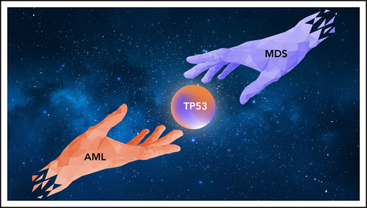 AML and MDS represent related diagnoses of clonal myeloid disorders. Grob and colleagues report that in patients with AML or MDS with TP53 mutations clinical characteristics and outcomes are overlapping and propose that these 2 diseases be considered as a single diagnosis.