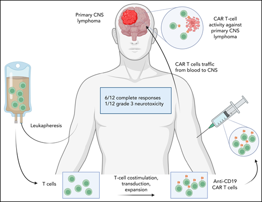 Tisagenlecleucel for PCNSL (N = 12 infused patients). Created with Biorender.com