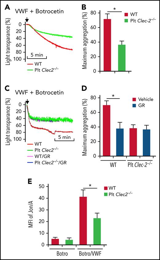 CLEC-2 deficiency impairs GPIbα-mediated integrin αIIbβ3 activation. Aggregation of washed WT and CLEC-2–deficient platelets in response to 10 μg/mL of VWF and 2 μg/mL of botrocetin, which facilitates VWF binding to GPIbα, in the absence (A) or presence (C) of GR144053 trihydrochloride (GR). (B and D) Quantification of platelet aggregation shown in (A) and (C), respectively. (E) Flow cytometry analysis of binding of mAb Jon/A, which specifically binds to activated integrin αIIbβ3, to platelets. Washed platelets were stimulated with 2 μg/mL of botrocetin (Botro) in the presence or absence of 10 μg/mL of VWF from human plasma. After that, platelets were immediately incubated with mAb Jon/A, and mAb Jon/A binding was analyzed with flow cytometry. The data are representative of 5 independent experiments, and data represent mean ± standard deviation (SD). *P < .05.